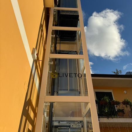 B&B Oliveto Казерта Екстер'єр фото
