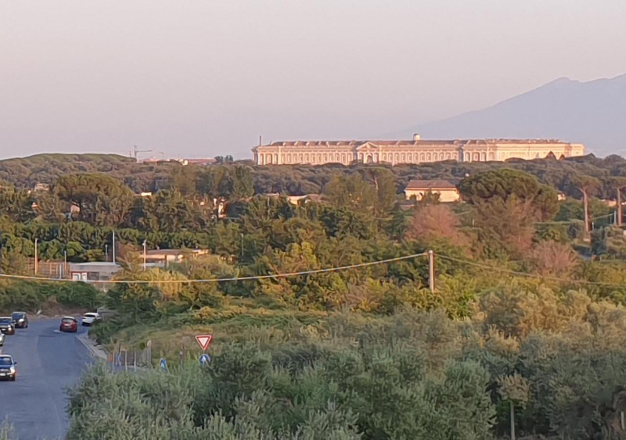 B&B Oliveto Казерта Екстер'єр фото